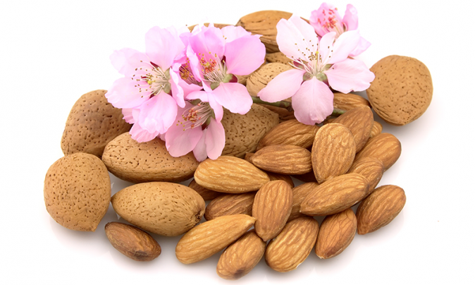 ALMONDS SHELLED EXPORT